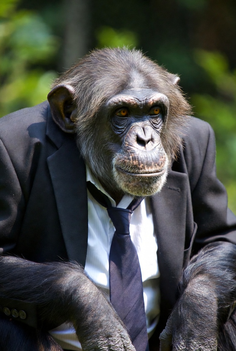 On The Origin of the Species: Evolution, Intelligent Design, or Extraterrestrial?